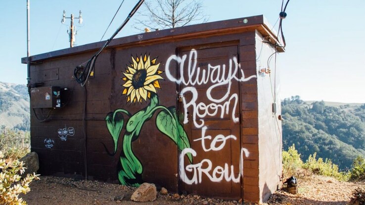 Ask ChatGPT, how to build great brands from buzzy innovations