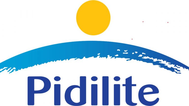 Pidilite records Rs 11,118 crore as net sales for the year