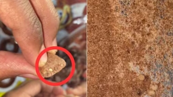 Consumer posts video of worms found in box of Kellogg's Chocos
