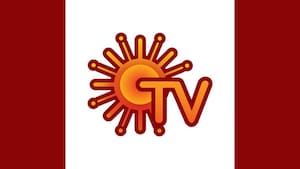 Sun TV Network ad revenue drops by 11.3% to Rs 290 crore in Q1 FY26
