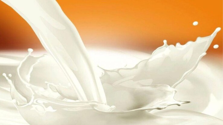 Amul goes to America: GCMMF to introduce Amul fresh milk in the US