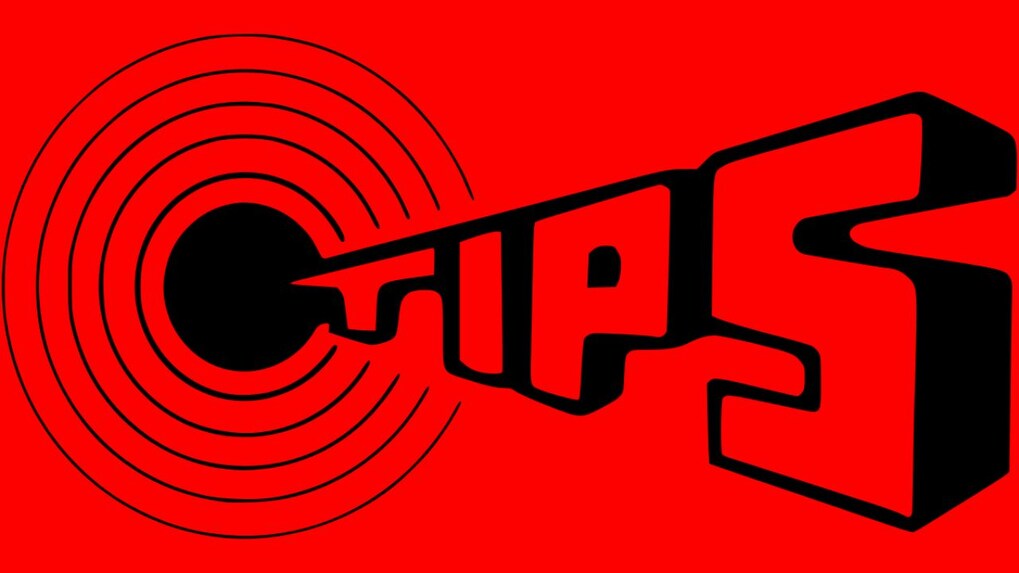 TIPS Industries reports revenue growth of 29 percent y-o-y