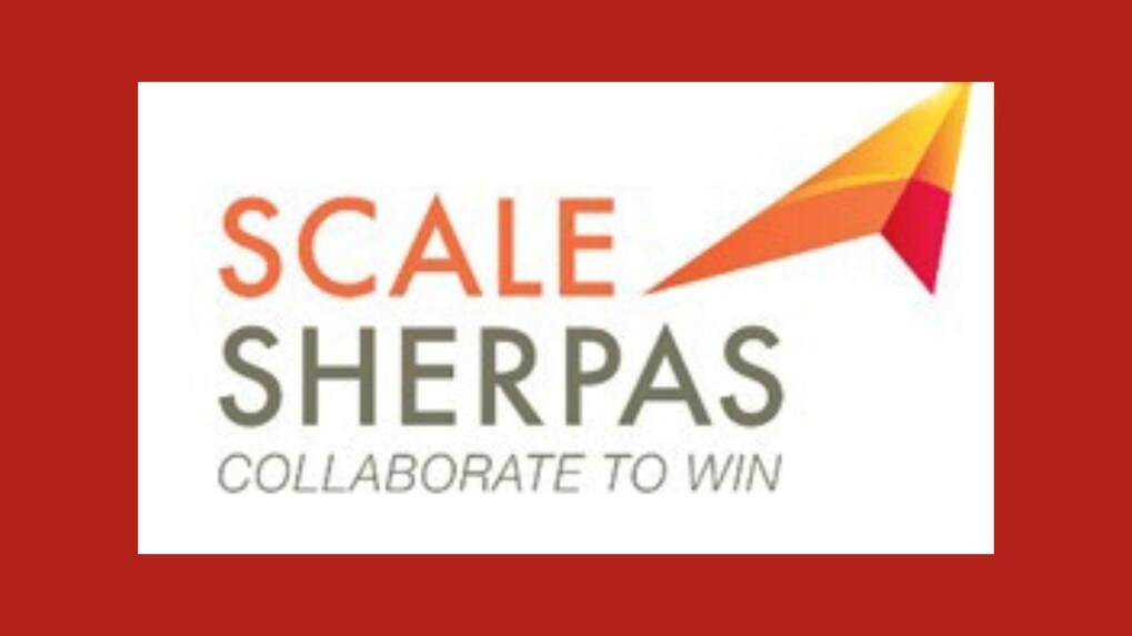 Anjana Ghosh's Scale Sherpas to support startups and MSMEs