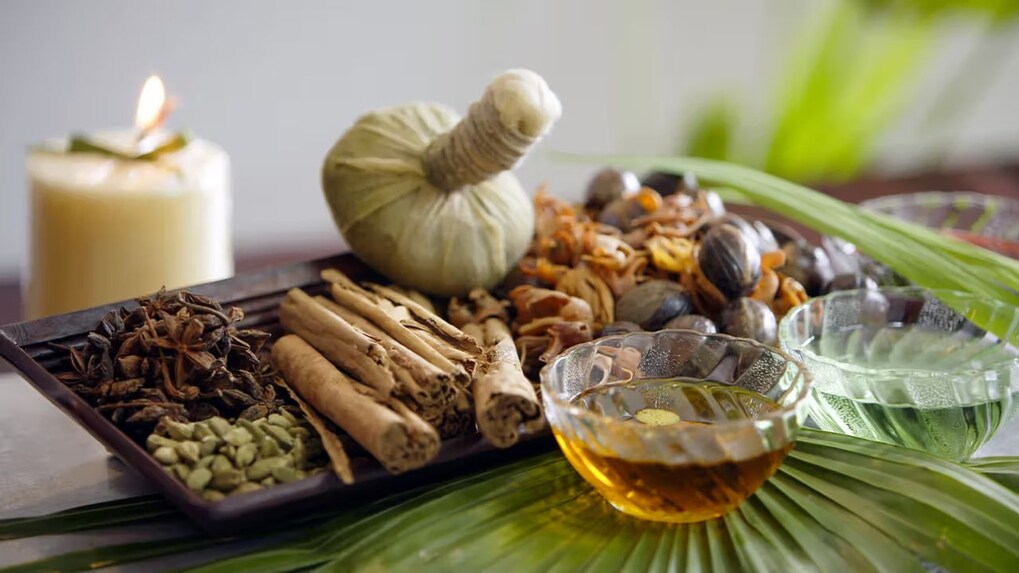 Govt boosts $18.1 billion ayurveda industry to enhance exports and product quality