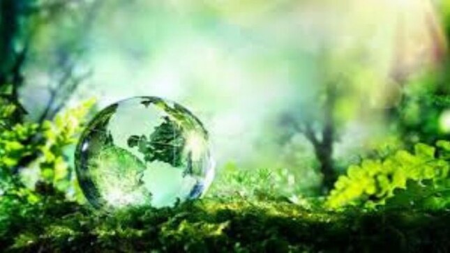 India leads the green transition: High-complexity roles see 57% wage premium