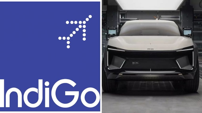 IndiGo, which uses "6E" as its airline designator code, has filed a lawsuit against M&M, alleging trademark infringement.