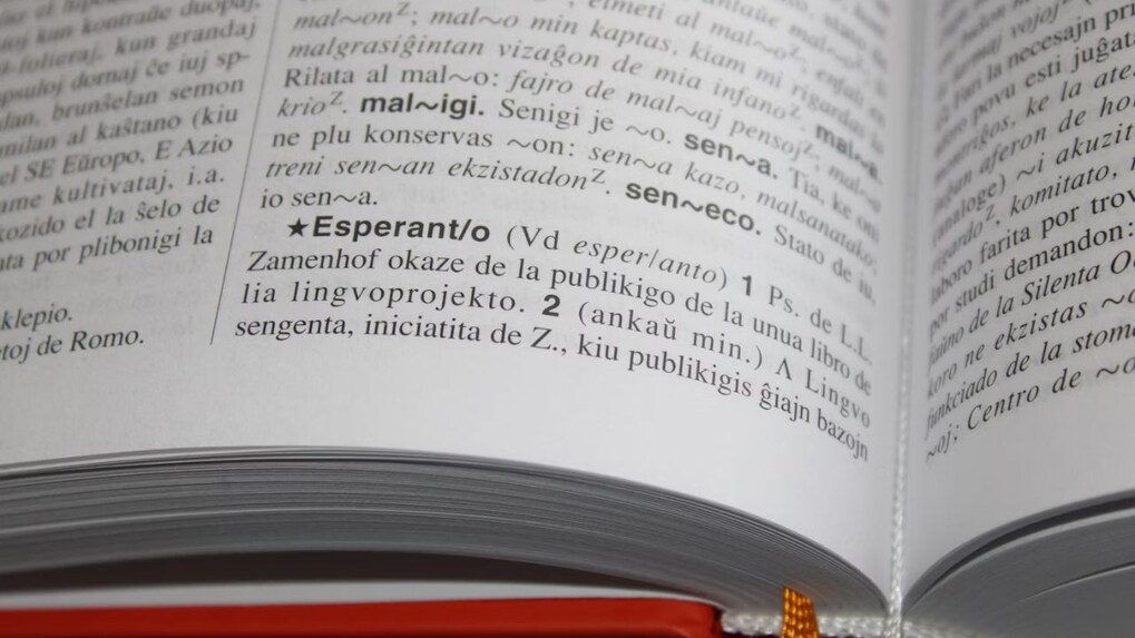 71% of Indian learners excited about emerging technology: Duolingo Report