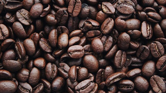 India Brews Success: Coffee Exports Hit $1.29 Billion as Global and Domestic Demand Soars