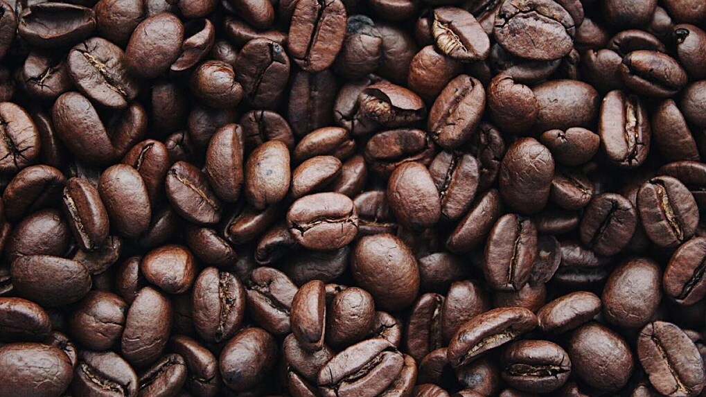 India's coffee exports hit $1.29 Billion as global and domestic demand soars