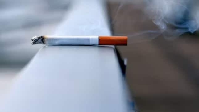 Godfrey Phillips India is the flagship company of Modi Enterprises. It manufactures cigarette brands like Four Square, Red and White, Cavanders, Tipper, and North Pole (Image: Unsplash)