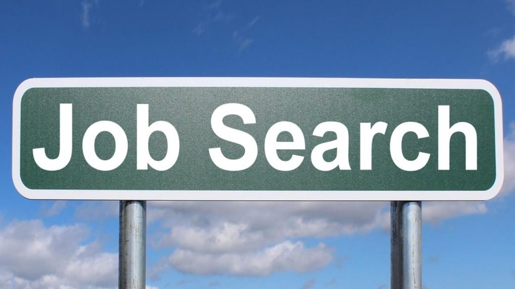 E-commerce, tech startups lead fresher hiring with 88% intent in H2 2025: TeamLease report