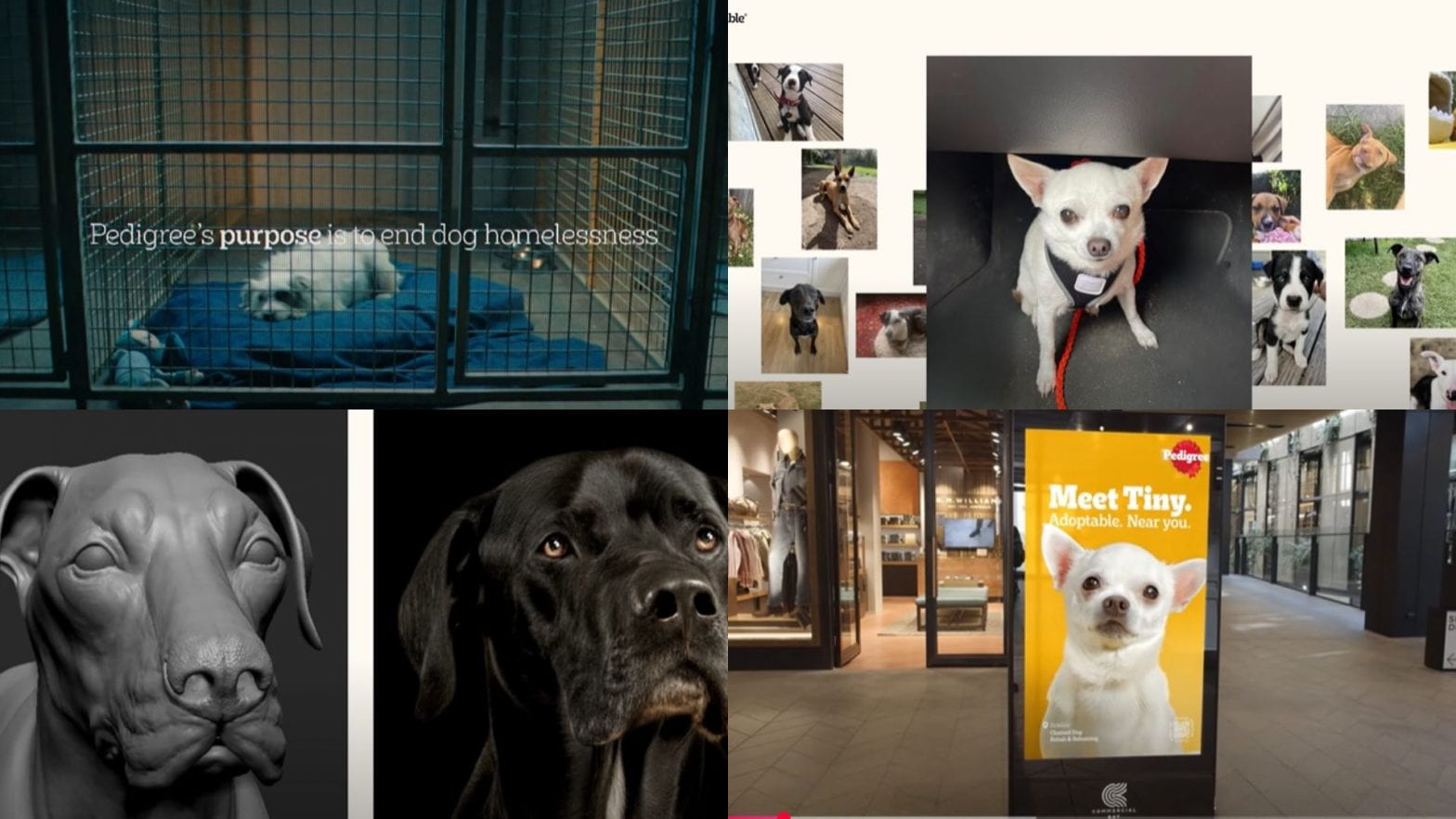 In the film, the wonders of Adoptable, an AI model was explained which was trained to aptly understand the visual composition of the dog, thus allowing the visual to be positioned in any media format. (Stills from the campaign)