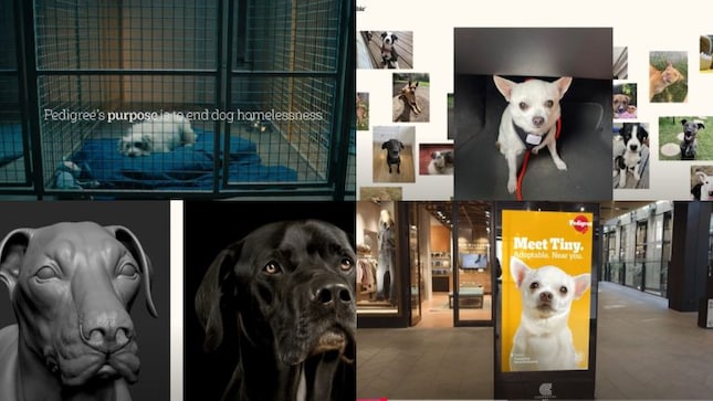Global Ads Spotlight: When AI met Animal Welfare in a Pedigree campaign to boost pet adoptions