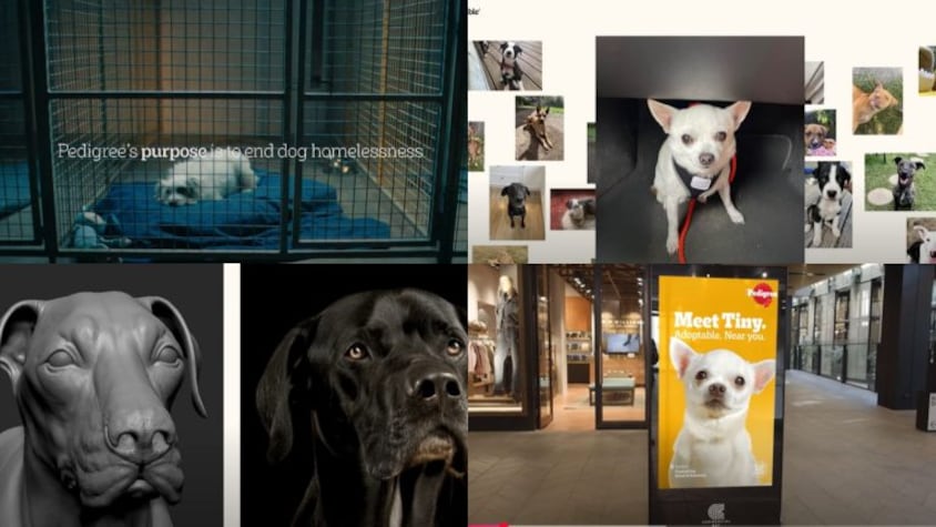 Global Ads Spotlight: When AI met Animal Welfare in a Pedigree campaign to boost pet adoptions