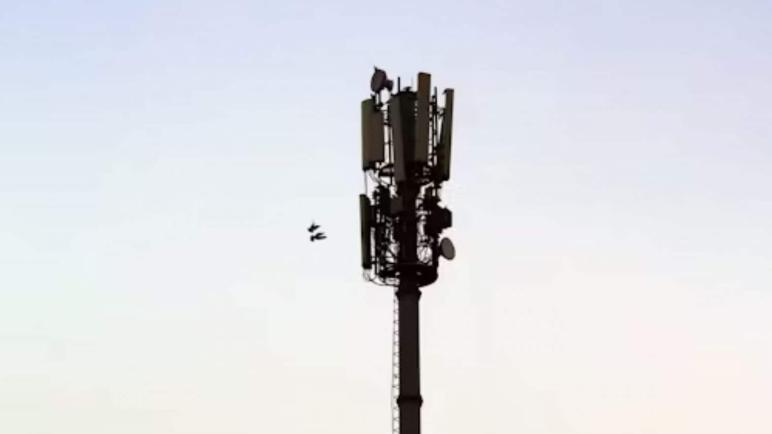 Telcos should have war rooms to plan for contingencies, and preparedness details should be shared with the government