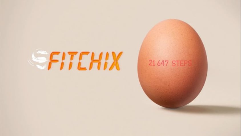 Global Ads Spotlight: When Honest Eggs Co. used data to crack the free-range myth