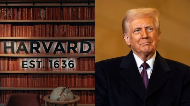Harvard University takes Trump administration to court over $2.6 billion in slashed research funds