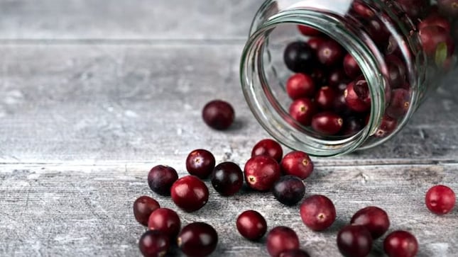 Cranberries, durians, among British agri items to get duty relief in India-UK trade pact