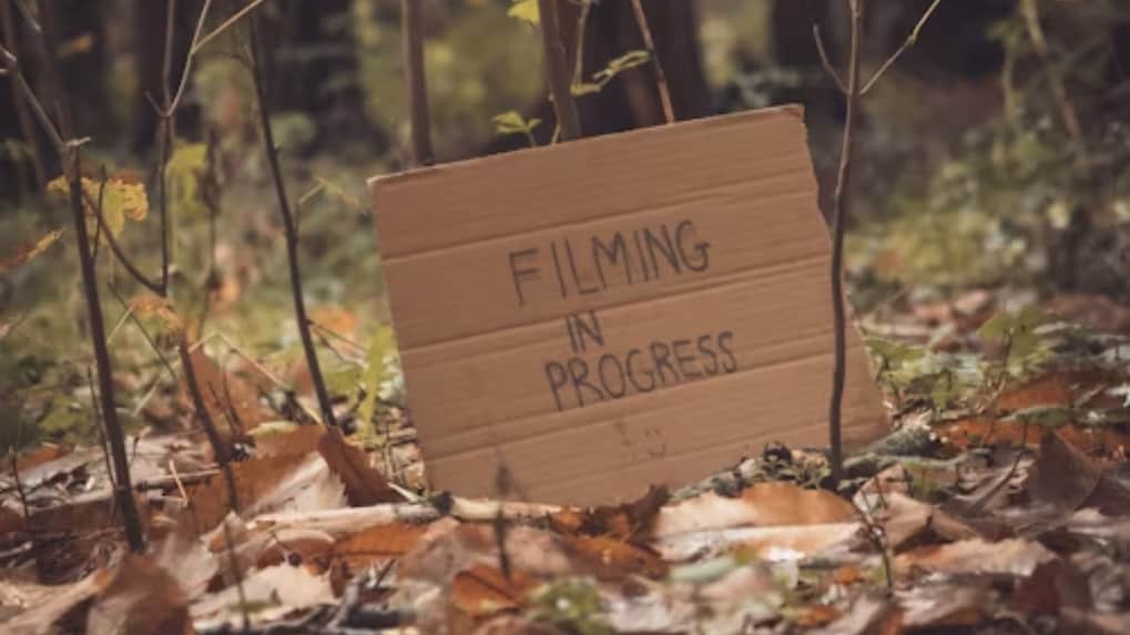 Kerala HC bans commercial film shoots in wildlife sanctuaries and national parks