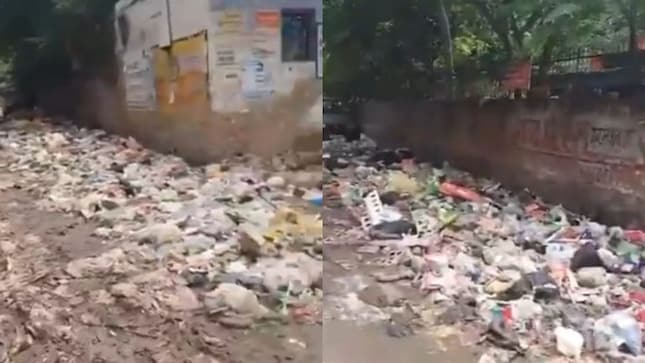 "Horrified by the actual state of the city": French expat's viral post triggers cleanliness debate