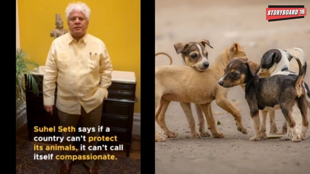 'We are compassionate to the core, let's not be draconian': Suhel Seth slams SC order on stray dogs