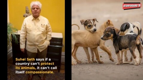 'We are compassionate to the core, let's not be draconian': Suhel Seth slams SC order on stray dogs