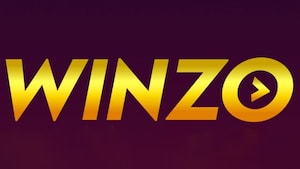 WinZO shuts real-money gaming operations, assures no layoffs