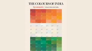 Where's the blue? Critics question Asian Paints' latest 'Colours of India' Independence Day campaign