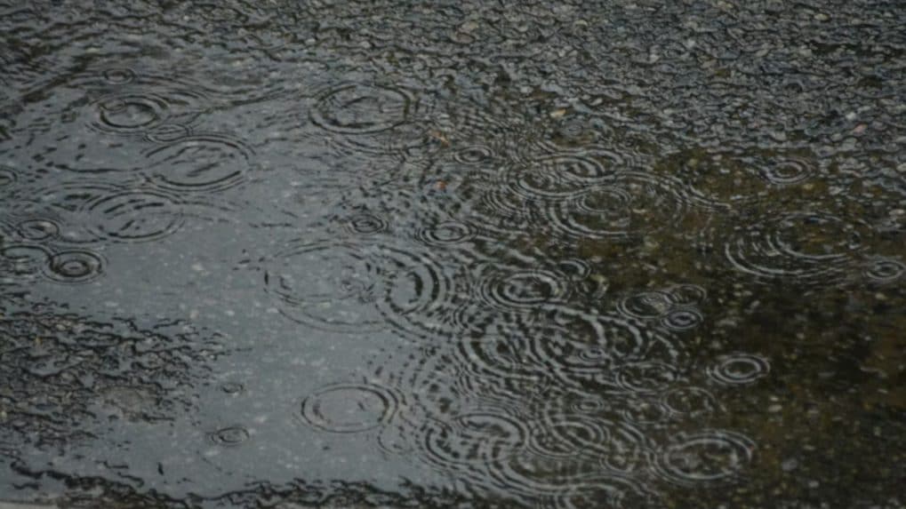 Mumbai rains 2025: Govt offices closed, BMC urges work-from-home for private firms
