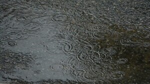 Mumbai rains 2025: Govt offices closed, BMC urges work-from-home for private firms