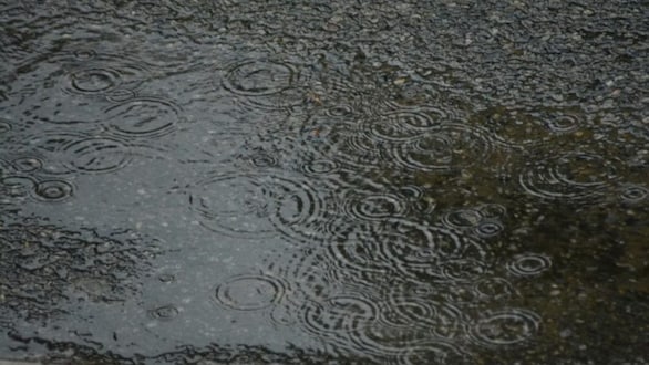 Mumbai rains 2025: Govt offices closed, BMC urges work-from-home for private firms