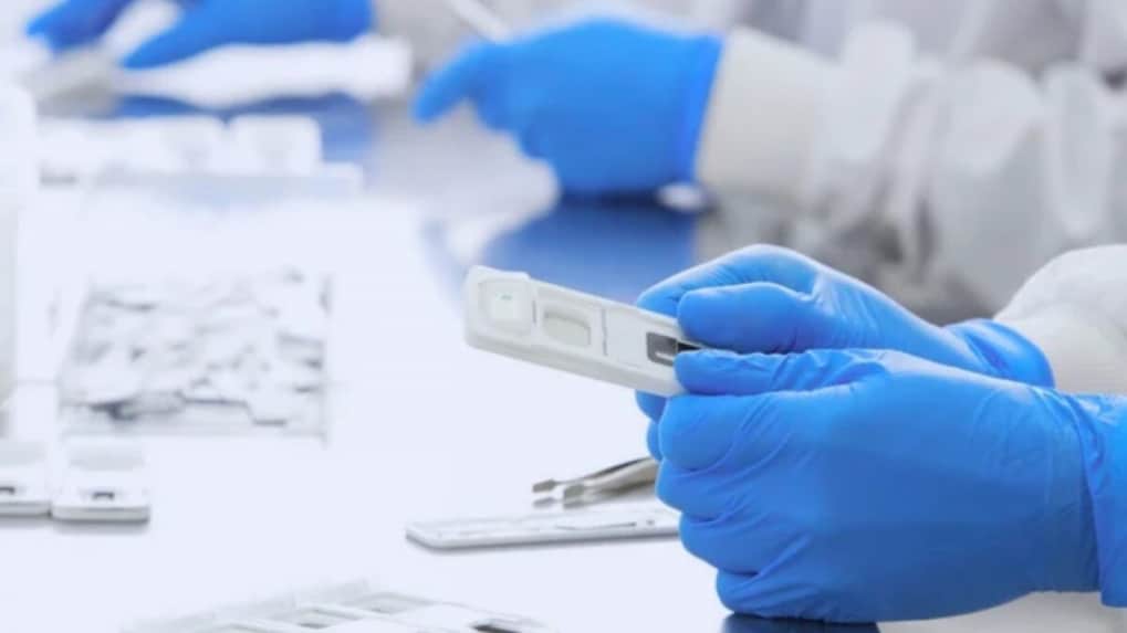 Biotech firms turn to AI and human models as US' FDA pushes shift from animal studies