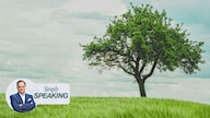 Potted Plants and Forest Giants: Rethinking Brand Growth in an Age of Hype