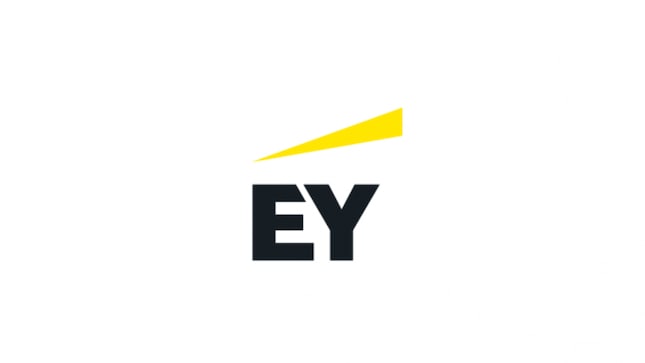 Once the exposure was confirmed, the Neo Security team immediately contacted EY to alert them to the potential breach.