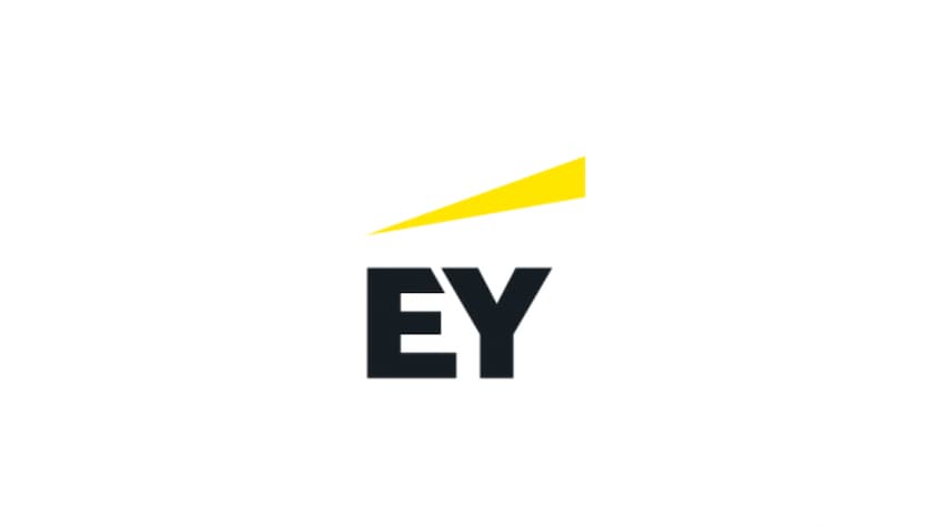Once the exposure was confirmed, the Neo Security team immediately contacted EY to alert them to the potential breach.