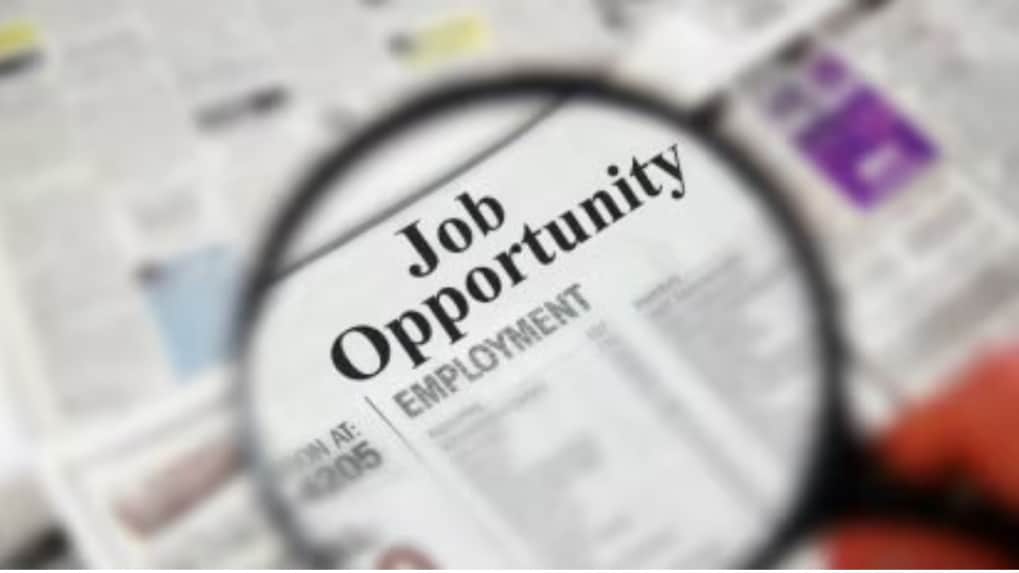 Over 40% of India’s IT and gig workforce now using AI, employability hits new high