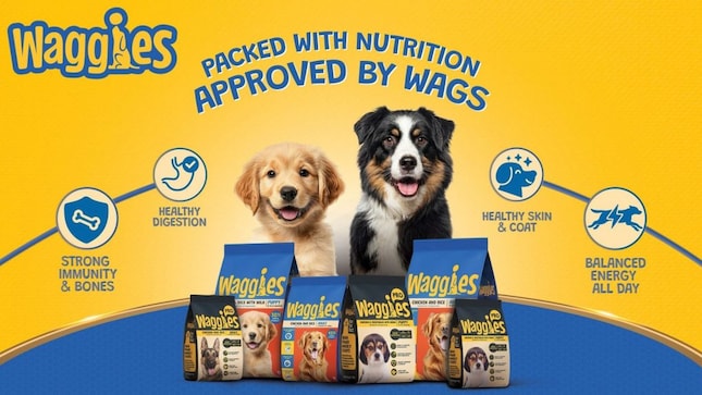 Reliance Consumer launches Waggies with Rs 20 trial packs.