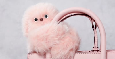 मिर्मी: जापान का रोबोट खिलौना 2026 का अगला वायरल सेंसेशन बनने को तैयार.