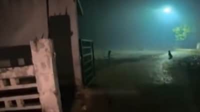 Screengrab from the viral video.