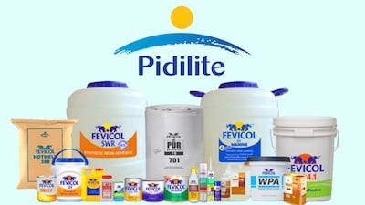 Pidilite Industries receives GST Orders-in-Appeal imposing penalties for FY20, FY21
