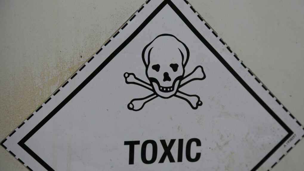 CCPA cracks down on online sale of explosives, hazardous chemicals across e-commerce platforms