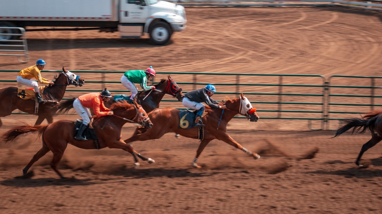 Sumon K Chakrabarti, Co-Founder & CEO of Buffalo Soldiers, expresses his enthusiasm, “We’re honored to partner with Columbia Pacific Communities. Our goal is to create digital narratives that resonate with the vibrant lives of seniors.(Representational image via Unsplash)