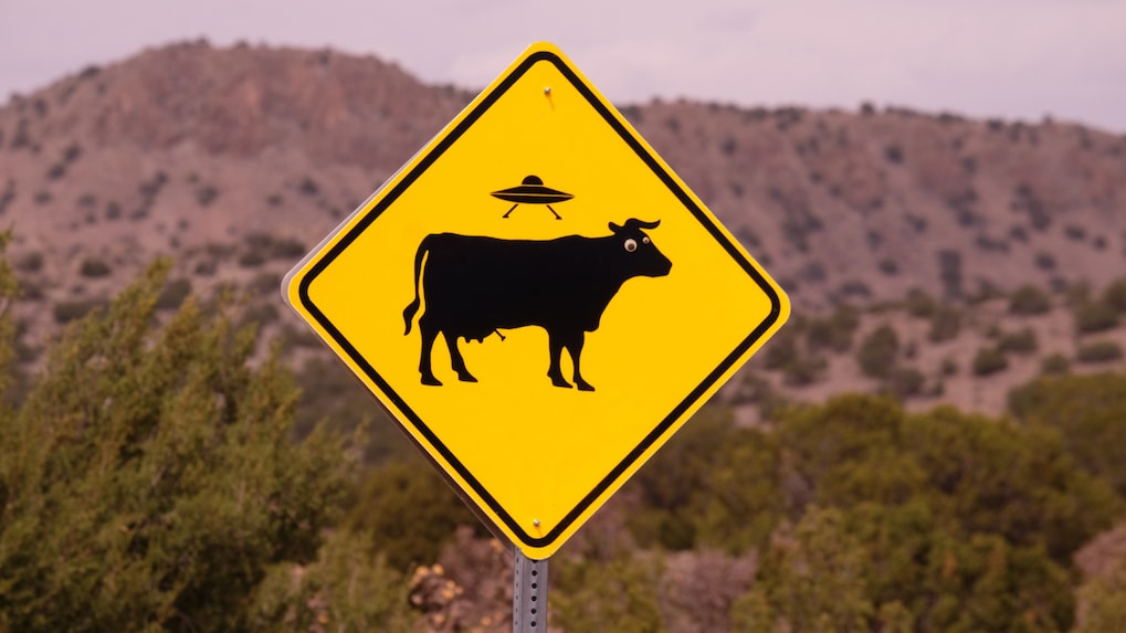 Brain Matters: Marketing, decision making and the psychology of smell